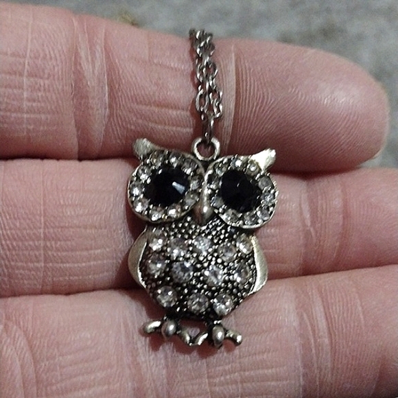AEROPOSTALE BRASS-TONE OWL AND UNBRANDED SILVER-TONE OWL PENDANT NECKLACES - Picture 14 of 15